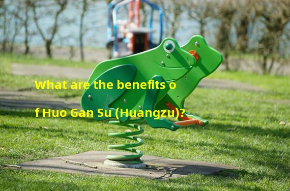 What are the benefits of Huo Gan Su (Huangzu)? 