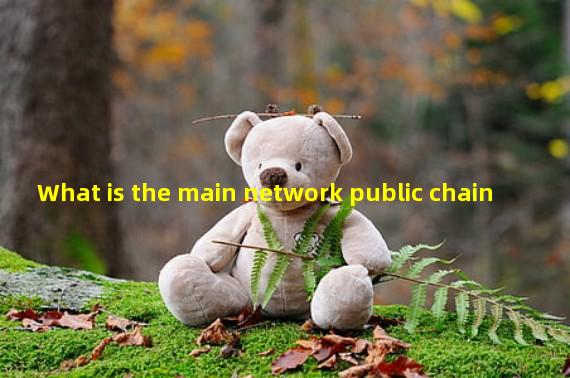 What is the main network public chain