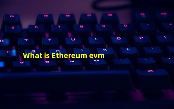 What is Ethereum evm