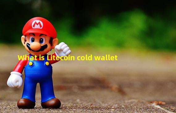 What is Litecoin cold wallet
