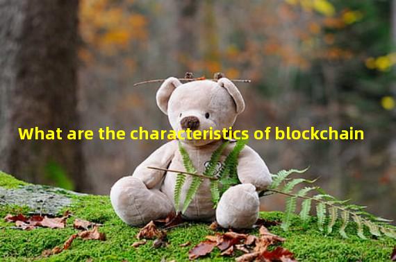 What are the characteristics of blockchain