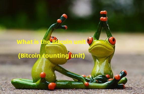 What is the Bitcoin unit (Bitcoin counting unit)