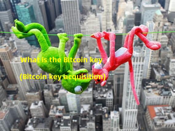 What is the Bitcoin key (Bitcoin key acquisition)