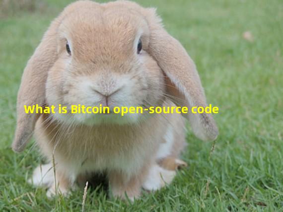 What is Bitcoin open-source code