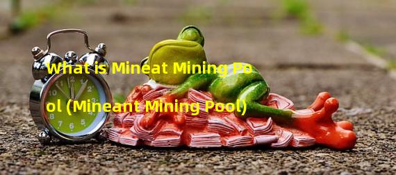 What is Mineat Mining Pool (Mineant Mining Pool)