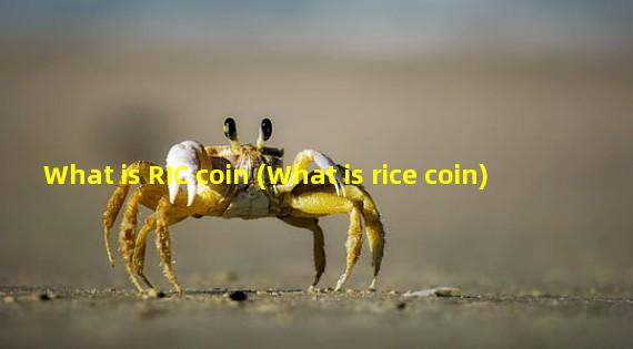 What is RIC coin (What is rice coin)