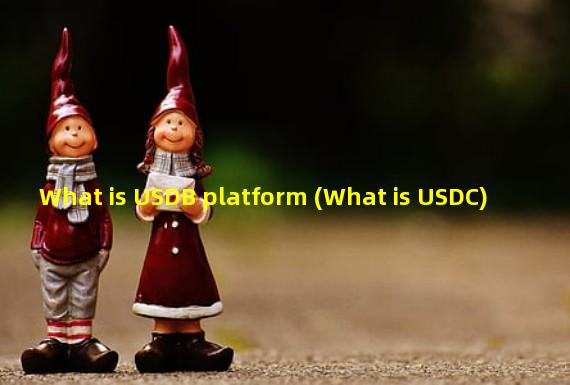 What is USDB platform (What is USDC)