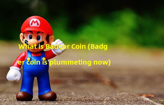 What is Badger Coin (Badger coin is plummeting now)