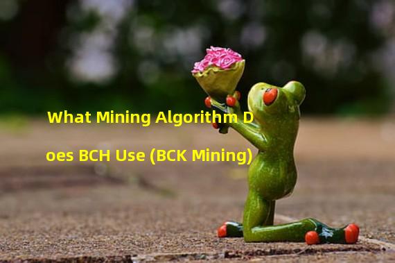 What Mining Algorithm Does BCH Use (BCK Mining)