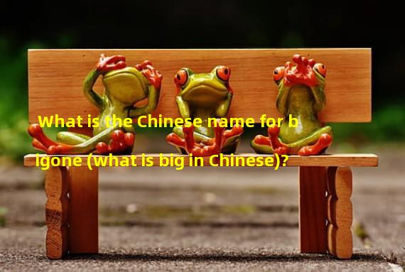What is the Chinese name for bigone (what is big in Chinese)?