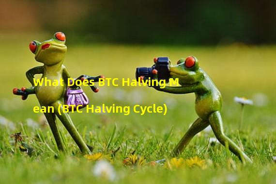 What Does BTC Halving Mean (BTC Halving Cycle)