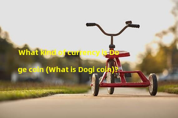 What kind of currency is Doge coin (What is Dogi coin)?