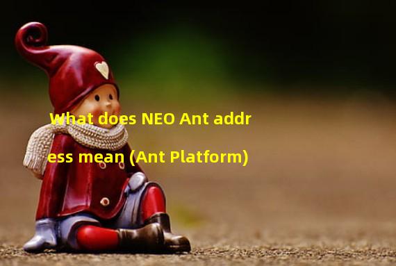 What does NEO Ant address mean (Ant Platform)