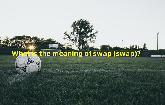 What is the meaning of swap (swap)?